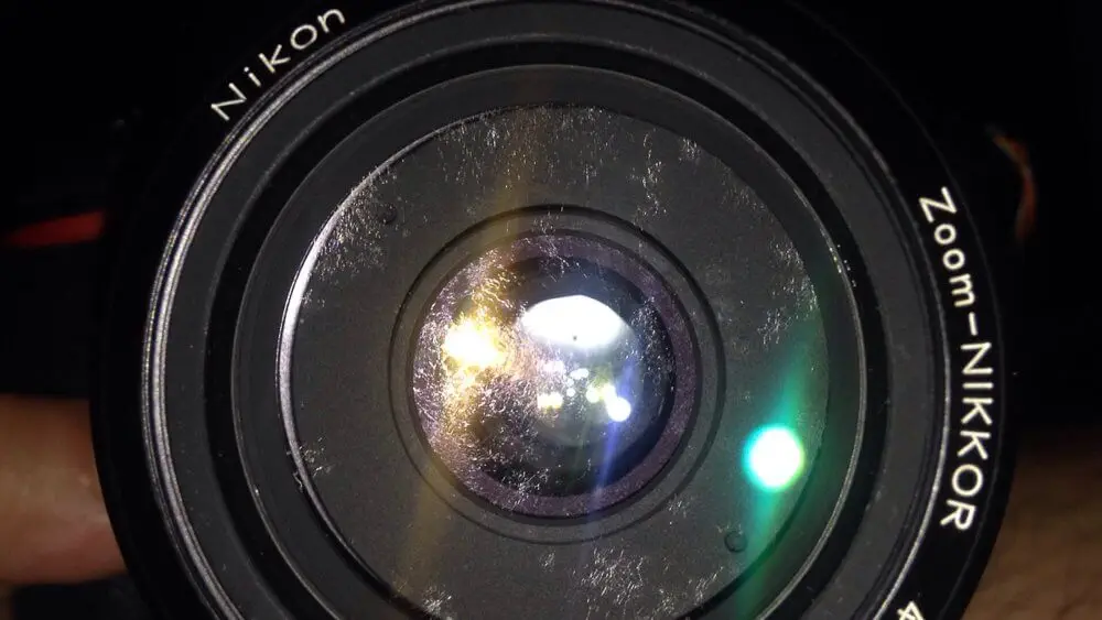 [Guide] : รา ภัยเงียบของเหล่านักถ่ายภาพ