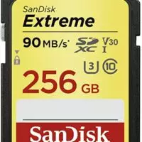 sandisk 256GB 90mb/S