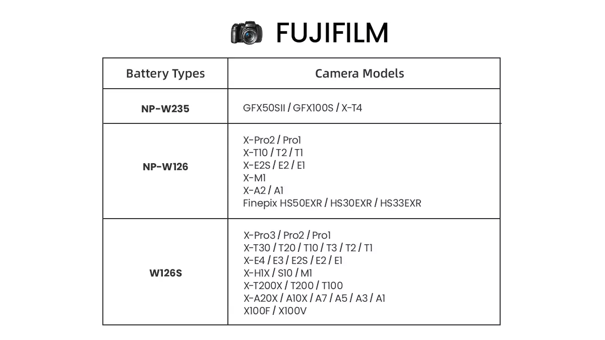 Fujifilm Charging Docks Detail