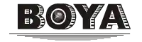 Boya