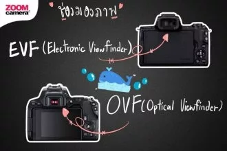 m50 vs 200d ii evf and ovf